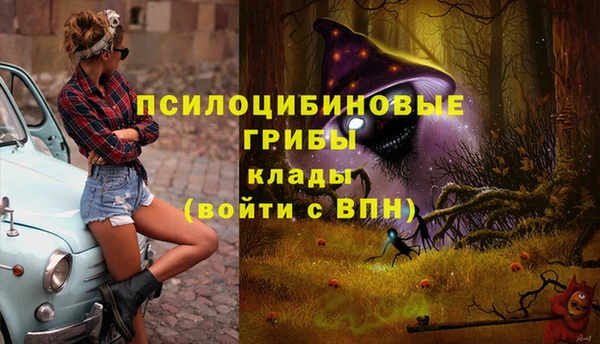 мяу мяу кристалл Алексин